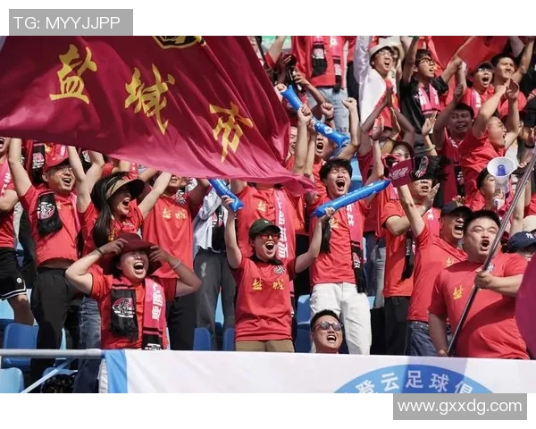 南京足球队挑战赛表现分析状态评估与未来展望