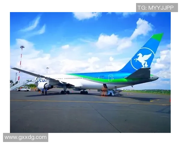 广州乒乓球队逆袭之旅揭秘世界杯背后的奋斗与荣耀