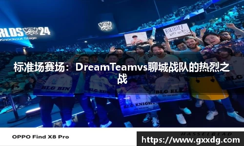标准场赛场：DreamTeamvs聊城战队的热烈之战