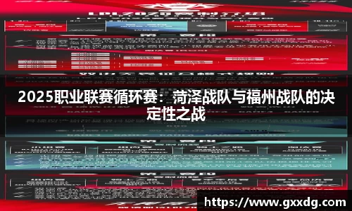 2025职业联赛循环赛：菏泽战队与福州战队的决定性之战