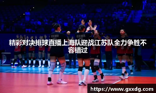 精彩对决排球直播上海队迎战江苏队全力争胜不容错过
